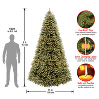 9 ft. Pre-Lit Downswept Douglas Fir Tree with Dual Color LED Lights, Plug-In - National Tree Company