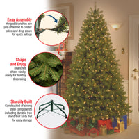 6 ft. Pre-Lit Downswept Douglas Fir Tree with Clear Lights, Plug-In - National Tree Company