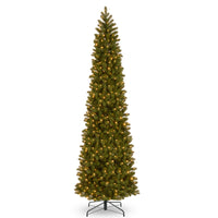 12 ft. Pre-Lit Downswept Douglas Fir Pencil Slim Fir Tree with Clear Lights - National Tree Company