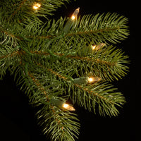 9 ft. Pre-Lit Downswept Douglas Fir Pencil Slim Tree with Clear Lights - National Tree Company