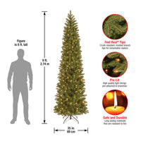 9 ft. Pre-Lit Downswept Douglas Fir Pencil Slim Tree with Clear Lights - National Tree Company