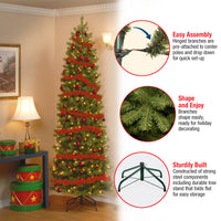 9 ft. Pre-Lit Downswept Douglas Fir Pencil Slim Tree with Clear Lights - National Tree Company