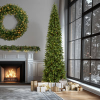 12 ft. Pre-Lit Downswept Douglas Fir Pencil Slim Tree with Dual Color LED Lights, Plug-In - National Tree Company