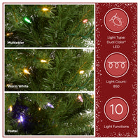 12 ft. Pre-Lit Downswept Douglas Fir Pencil Slim Tree with Dual Color LED Lights, Plug-In - National Tree Company