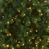 12 ft.Pre-Lit Downswept Douglas Fir Pencil Slim Tree with Dual Color LED Lights - National Tree Company