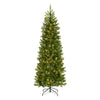 6.5 ft. Pre-Lit Downswept Douglas Fir Pencil Slim Tree with Dual Color LED Lights - National Tree Company
