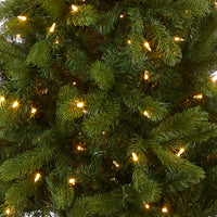 6.5 ft. Pre-Lit Downswept Douglas Fir Pencil Slim Tree with Dual Color LED Lights - National Tree Company