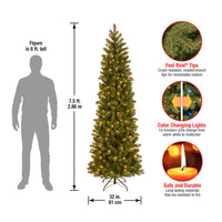 7.5 ft. Pre-Lit Downswept Douglas Fir Pencil Slim Tree with Dual Color LED Lights, Plug-In - National Tree Company