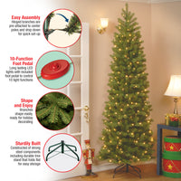 9 ft. Pre-Lit Downswept Douglas Fir Pencil Slim Tree with Dual Color LED Lights, Plug-In - National Tree Company