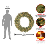 48 in. Pre-Lit Downswept Douglas Wreath with Warm White LED Lights - National Tree Company