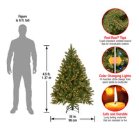 4.5 ft. Pre-Lit Downswept Douglas Fir Tree with Dual Color LED Lights, Plug-In - National Tree Company