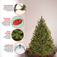 4.5 ft. Pre-Lit Downswept Douglas Fir Tree with Dual Color LED Lights, Plug-In - National Tree Company