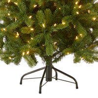 4.5 ft. Pre-Lit Downswept Douglas Fir Tree with Dual Color LED Lights - National Tree Company