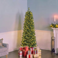 7 ft. Pre-Lit Downswept Douglas Fir Pencil Slim Tree with Dual Color LED Lights, Plug-In - National Tree Company
