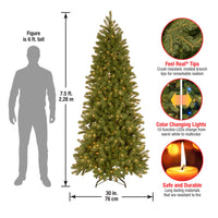7 ft. Pre-Lit Downswept Douglas Fir Pencil Slim Tree with Dual Color LED Lights, Plug-In - National Tree Company
