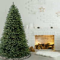 6 ft. Pre-Lit Downswept Douglas Blue Fir Tree with Clear Lights - National Tree Company