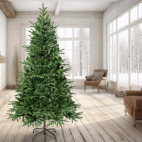 6 ft. Duxbury Feel Real Tree - National Tree Company