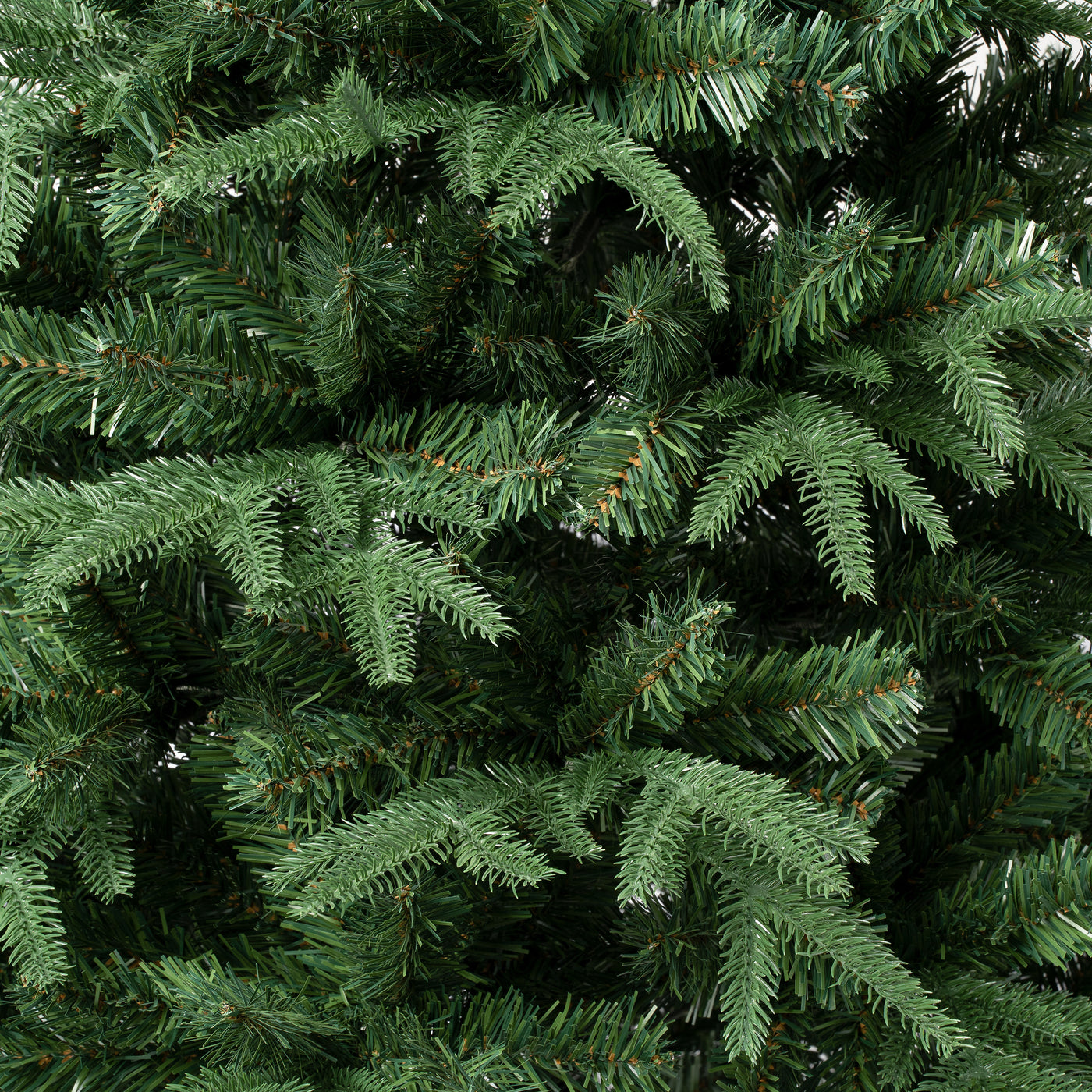 7.5 ft. Duxbury Tree - National Tree Company