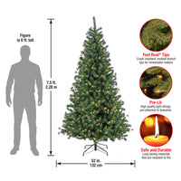 7.5 ft. Pre-Lit Cedar Spruce Tree with LED Lights, Plug-In - National Tree Company