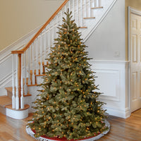 7.5 ft. Pre-Lit Arctic Spruce Frosted Tree with Clear Lights - National Tree Company