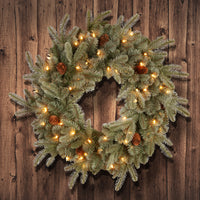 24 in. Pre-Lit Frosted Arctic Spruce Wreath with Clear Lights - National Tree Company