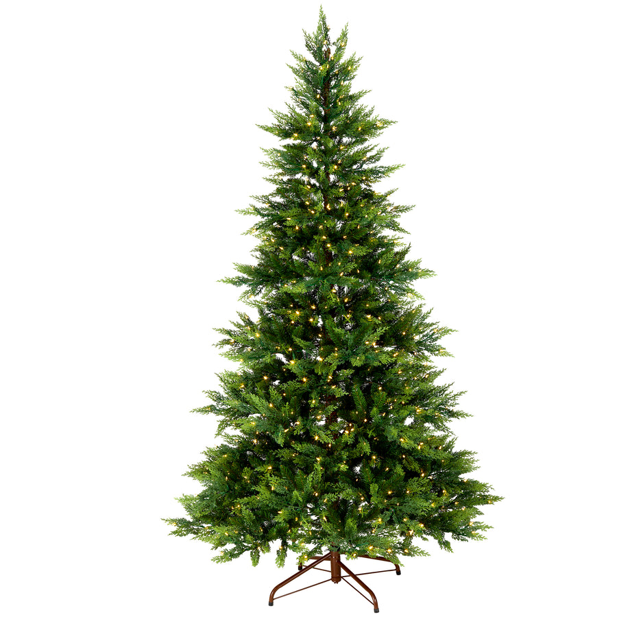 6.5 ft. Festive Fern Tree with Clear Lights - National Tree Company