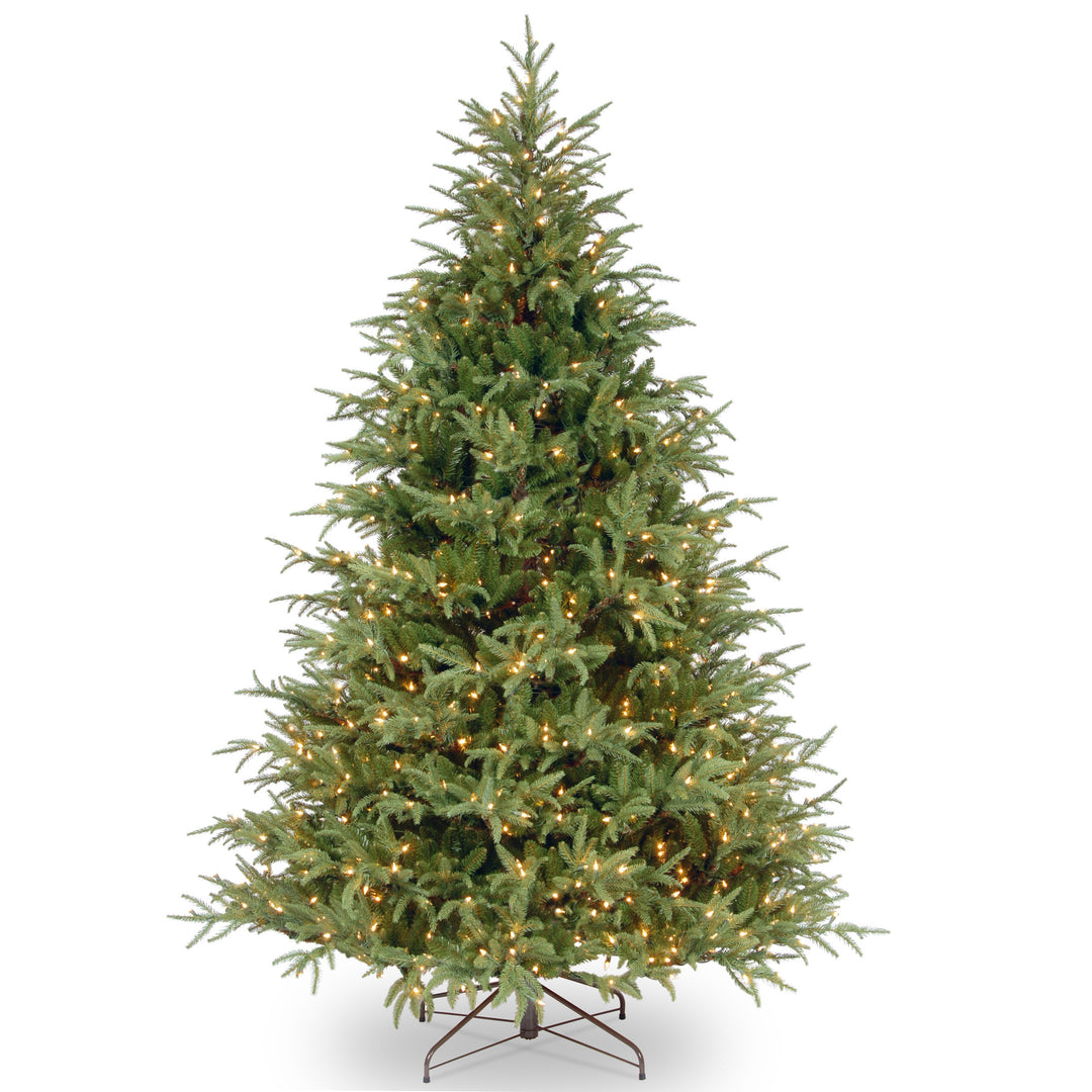 Pre-Lit 'Feel Real' Artificial Full Christmas Tree, Green, Frasier Grande, White Lights, Includes Stand, 6.5 Feet