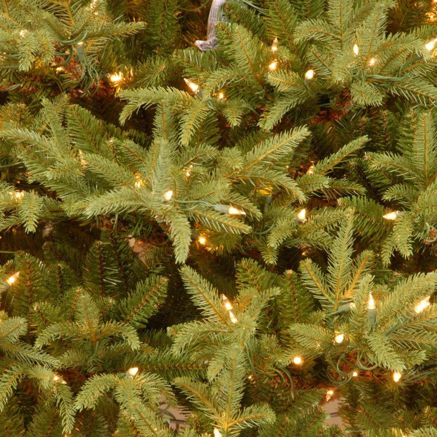 9 ft. Pre-Lit Frasier Grande Tree with Clear Lights - National Tree Company