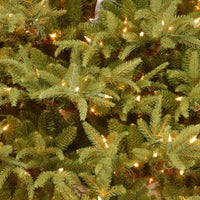9 ft. Pre-Lit Frasier Grande Tree with Clear Lights - National Tree Company