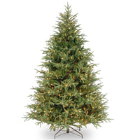 6.5 ft. Pre-Lit Frasier Grande Tree with Dual Color LED Lights - National Tree Company