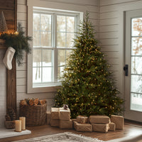 6.5 ft. Pre-Lit Fraser Grande Tree with Dual Color LED Lights - National Tree Company