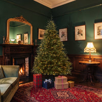 7.5 ft. Pre-Lit Fraser Grande Slim Tree with Dual Color LED Lights - National Tree Company