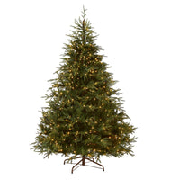 7.5 ft. Pre-Lit Fraser Grande Slim Tree with Dual Color LED Lights - National Tree Company