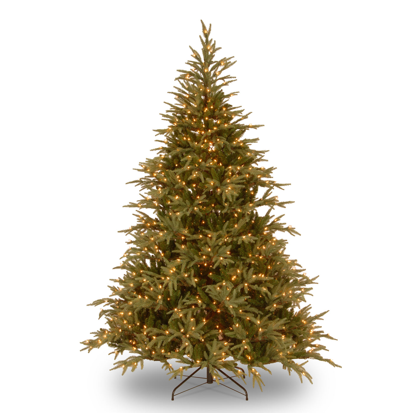 6 ft. Pre-Lit Fraser Grande with Dual Color LED Lights - National Tree Company