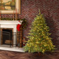 6 ft. Pre-Lit Fraser Grande with Dual Color LED Lights - National Tree Company