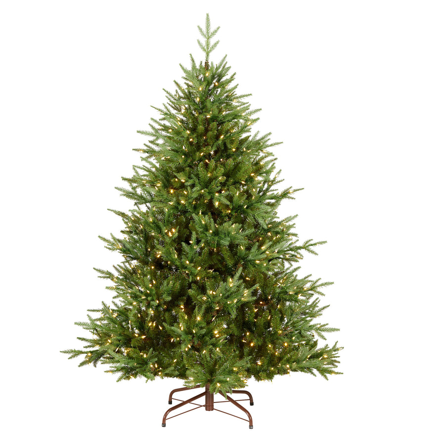 6 ft. Pre-Lit Fraser Grande with Dual Color LED Lights - National Tree Company