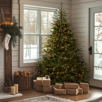 9 ft. Pre-Lit Fraser Grande Tree with Dual Color LED Lights - National Tree Company