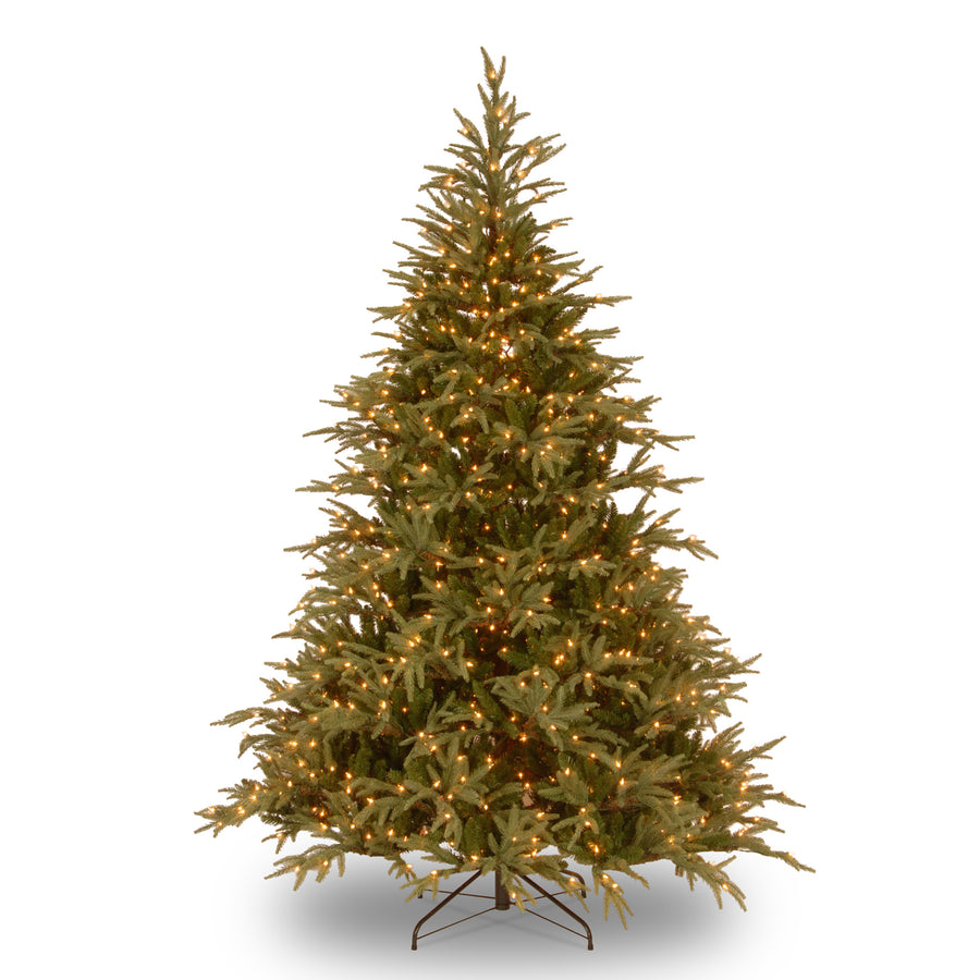 6 ft. Pre-Lit Fraser Grande Tree with Dual Color LED Lights - National Tree Company