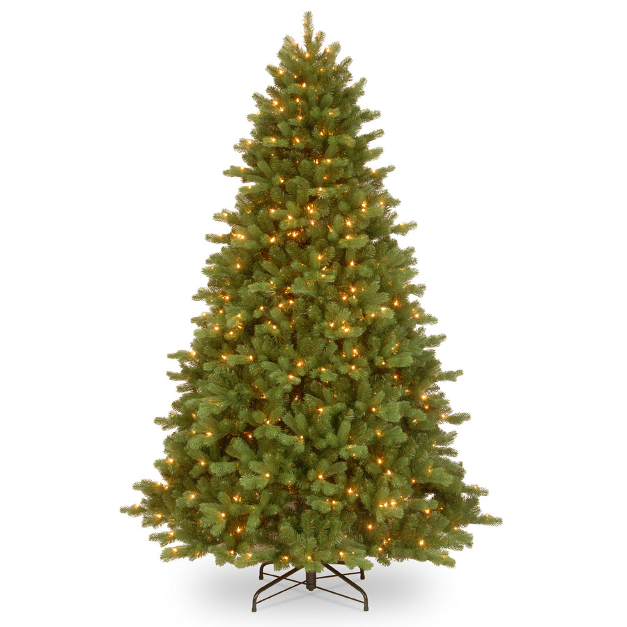 7.5 ft. Pre-Lit Georgetown Fir Tree with Warm White LED Lights - National Tree Company