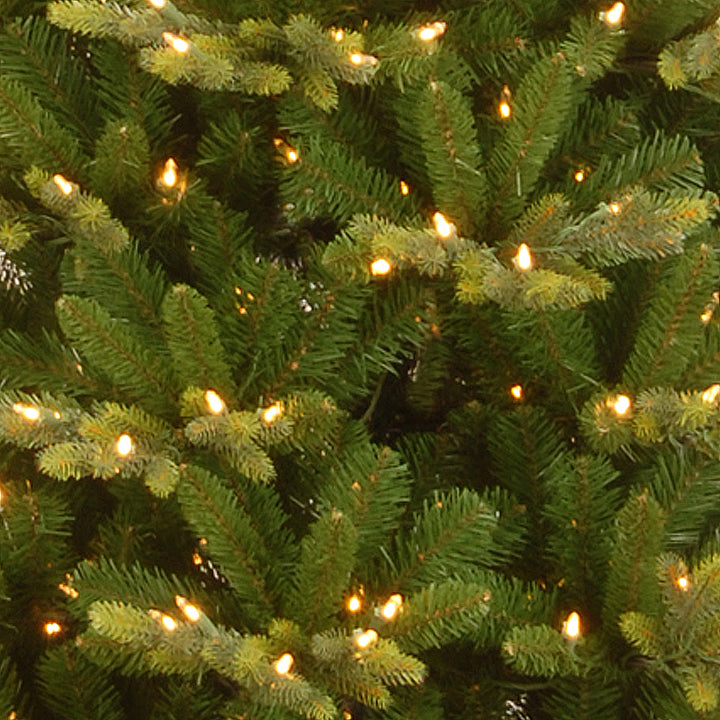 7.5 ft PowerConnect(TM) Glen Ridge Slim Spruce with Clear Lights