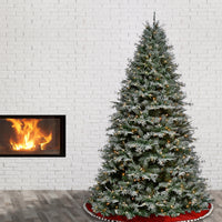 7.5 ft. Pre-Lit Snowy Stonington Fir Tree with Dual Color LED Lights - National Tree Company