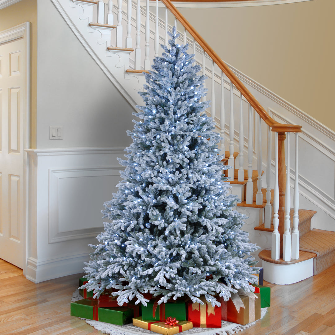Pre-Lit 'Feel Real' Artificial Christmas Tree, Snowy Hamilton Spruce, Green, White Lights, Includes Stand, 7.5 Feet