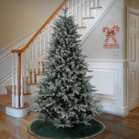 7.5 ft. Holliston Tree - National Tree Company