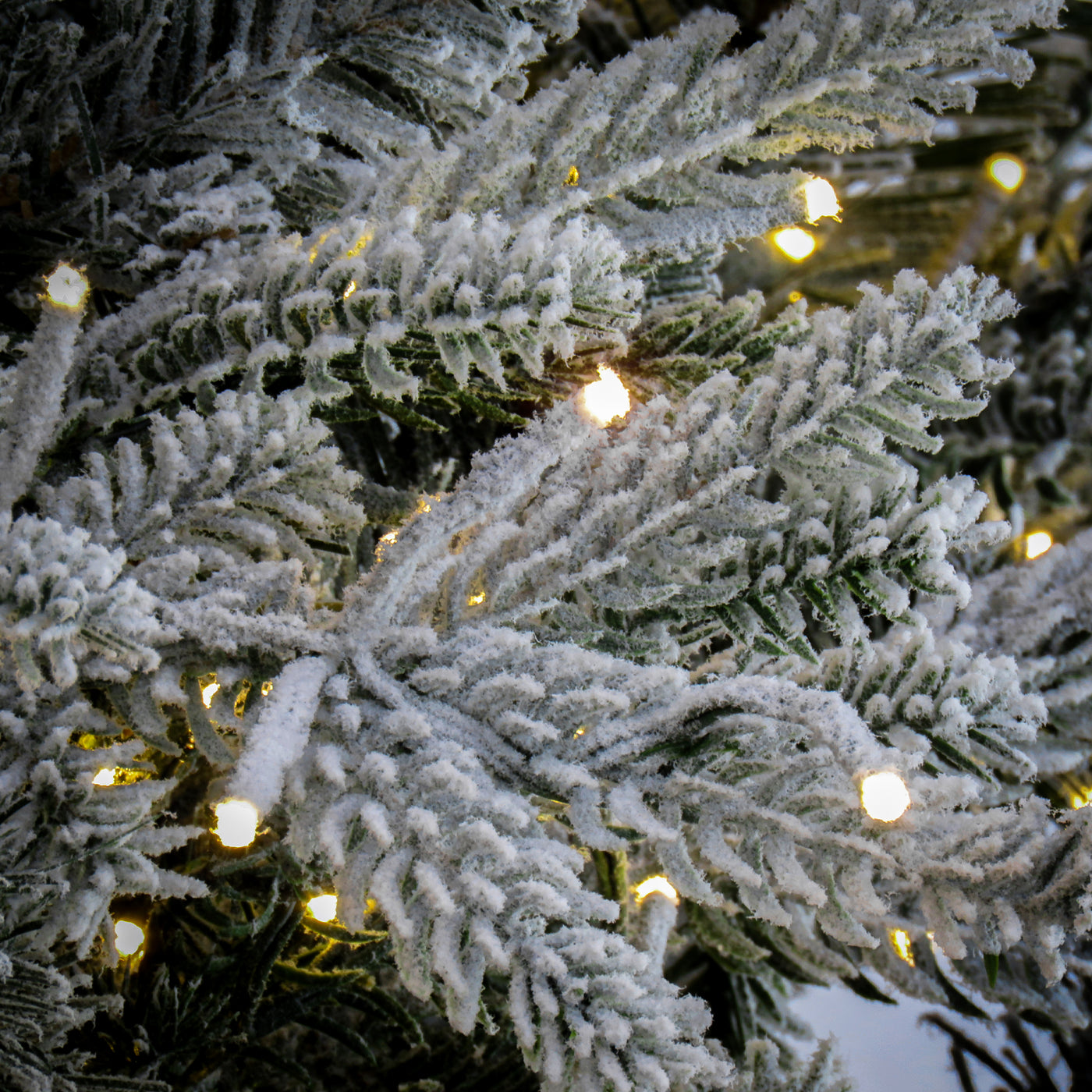 6.5 ft. Pre-Lit Holliston Tree with Dual Color LED Cosmic Lights - National Tree Company