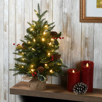 2 ft. Pre-Lit Happy Hill Pine Tree with LED Lights - National Tree Company