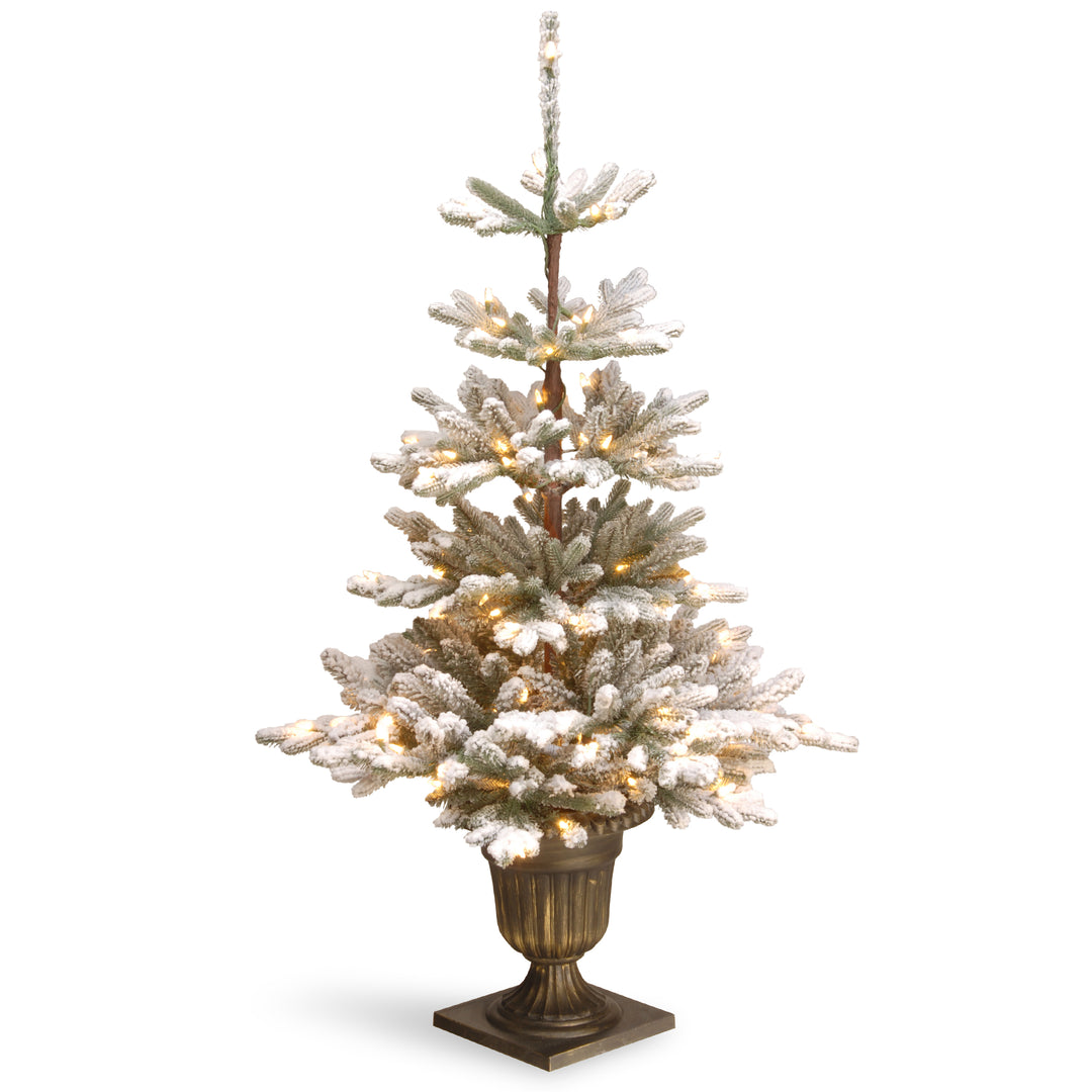 4.5 ft. Snowy Imperial Blue Spruce Entrance Tree with Clear Lights