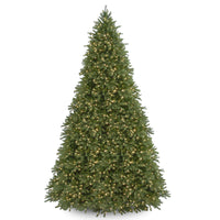 12ft. Pre-Lit Jersey Fraser Fir Tree with Clear Lights - National Tree Company