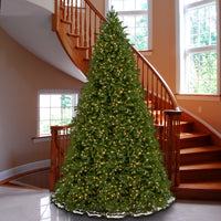 12ft. Pre-Lit Jersey Fraser Fir Tree with Clear Lights - National Tree Company