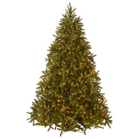 7.5 ft. Pre-Lit Jersey Fraser Fir Tree with Clear Lights - National Tree Company