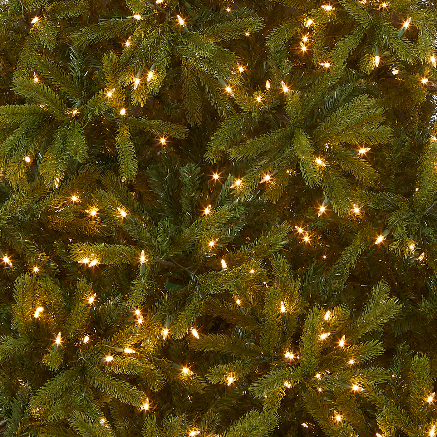 7.5 ft. Pre-Lit Jersey Fraser Fir Tree with Clear Lights - National Tree Company